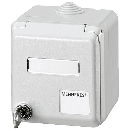 MENNEKES Cepex 外壳 4340 4340（灰色 · 壁装式插座 · 用于安装 RJ45 数据端口插座 · 配两把钥匙 · 带锁的产品：订货号 + G）产品图