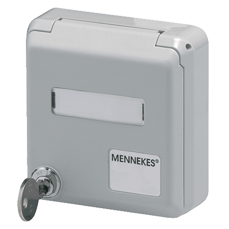 MENNEKES Cepex 外壳 4362 4362（灰色 · 面板式插座 · 用于安装 RJ45 数据端口插座 · 带标记栏 · 配两把钥匙 · 带锁的产品：订货号 + G）产品图